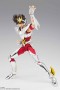 Saint Seiya - Pegasus Seiya Armadura Bronce Final Cloth Myth Ex